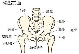 Thumbnail of post image 132