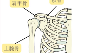 Thumbnail of post image 040