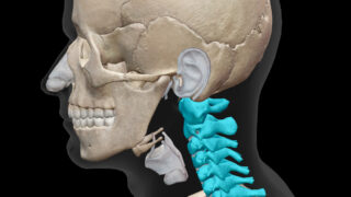 Thumbnail of post image 017