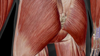 Thumbnail of post image 174