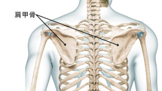 Thumbnail of post image 097