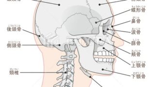 Thumbnail of post image 015